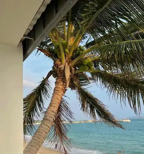 三亚五日轻松游路线分享,三亚旅游注意事项