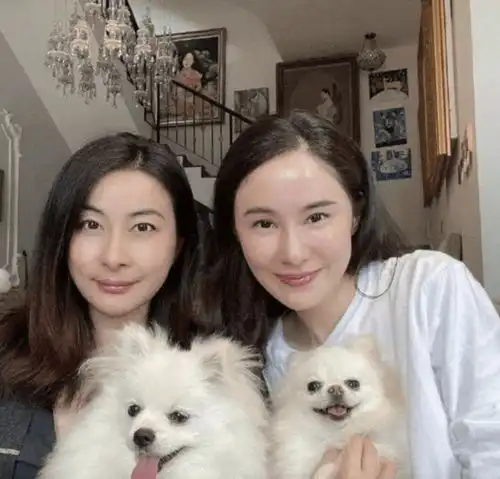 郭晶晶与闺蜜低调聚餐,素颜暴露真实容颜,两人谁气质更胜一筹