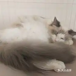电话,地址,价格,营业时间盐城美食