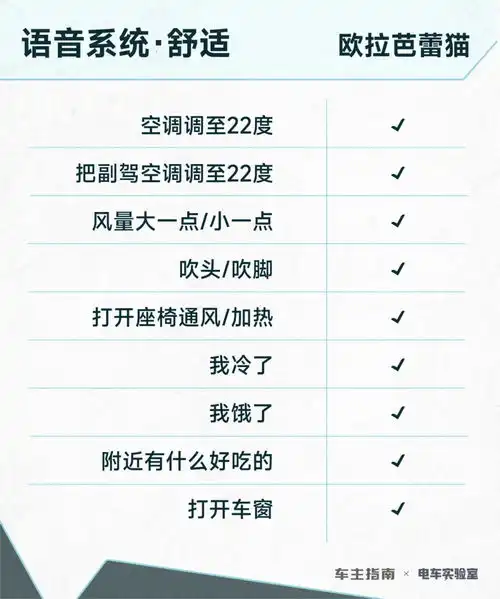 放下偏见,欧拉芭蕾猫可能比闺蜜更懂你