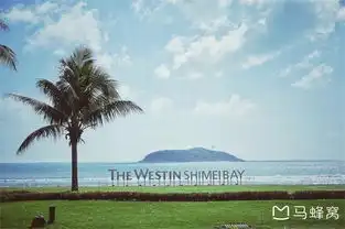 一路笑语,一路狂跑的三亚之旅