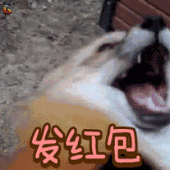 新年快乐安良百货祝大家狗年旺旺旺