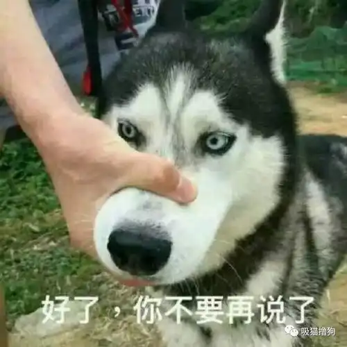 村里有个姑娘叫阿花,她有情我有意,但是我妈不同意直到我知道她睡遍了全村的狗