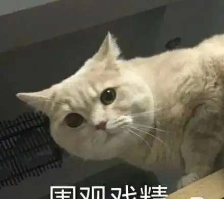 表情包估摸这个点你也在想我