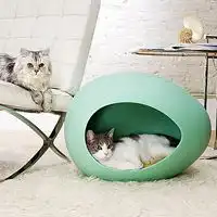 小猫头像闺密微信头像图片大全
