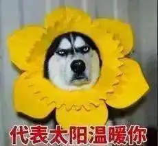 今年第一场秋雨即将到货,顺德湿冷天气要来了......