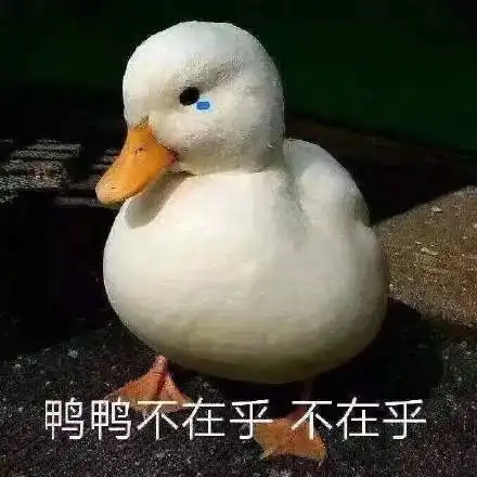 沙雕表情包生活已经容不下我了