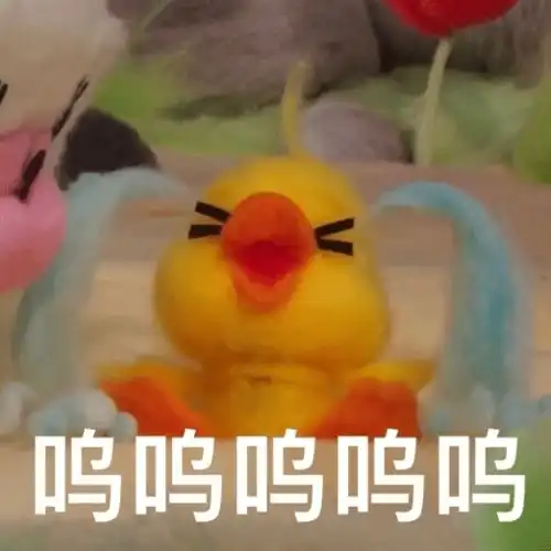 因为下雨我连1块的校车都坐不起