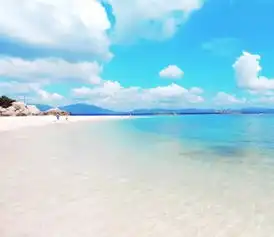 如果你累了,就去三亚旅游吧