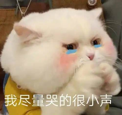 跟别人聊天时候,老是发一些表情包,不知道应该聊点啥,应该怎样聊天
