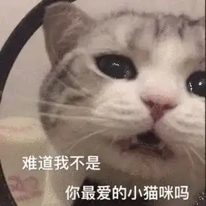 为什么花了2w护肤,黑眼圈眼纹还是藏不住