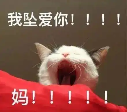 雨雨雨阵雨小雨中雨未来几天达州天气太刺激了,一直下到