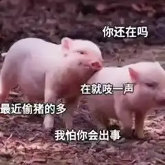 一组亲亲表情包充满了爱情的酸臭味