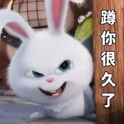个性男女生兔子头像闺蜜头像