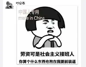 周子瑜致歉引发两岸脸书表情包大战大陆完胜组图