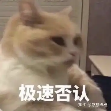 猫猫狗狗能看懂电视吗
