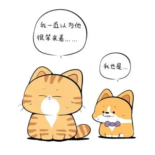 橘猫到底是种什么生物