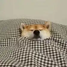 同样是暑假,我过的怎么...和别人不太一样