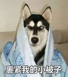 最低气温跌到2昆明新一波冷空气即将来临