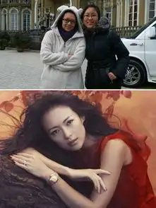 赵薇高圆圆马伊琍贾静雯揭曾被闺蜜挖墙脚的女星