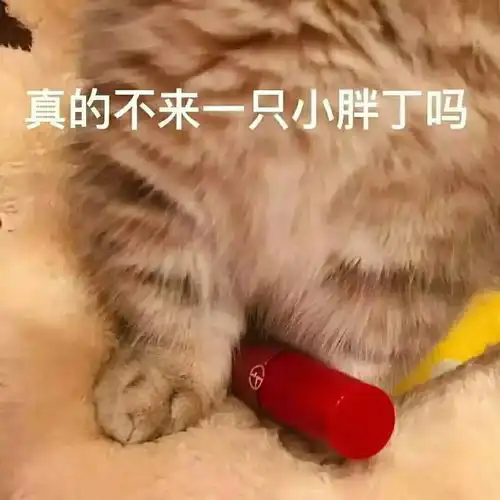 超可爱搞笑表情包