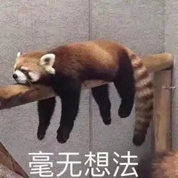 如果冯绍峰对赵丽颖不好,粉丝会有什么过激反应