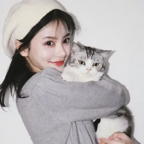 女生头像猫躲在巷子里