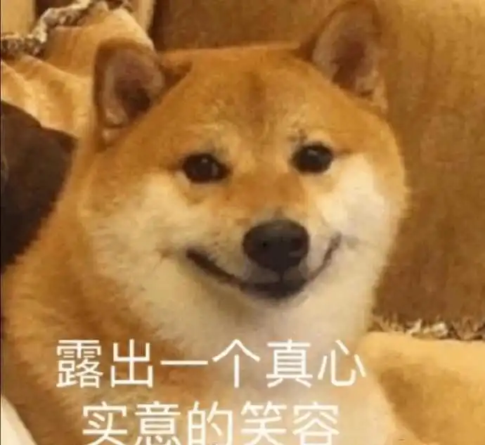 有什么沙雕而不烂街的文案