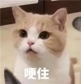 当代青年尬聊自救当哈哈哈都敷衍不了时,他们选择这样做