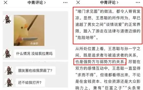 官媒发声怒批王思聪涉嫌言辞威胁骚扰女性已超出谈情说爱底线