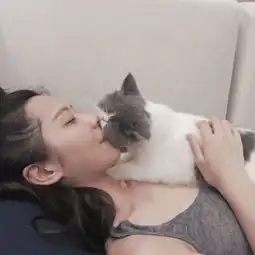 抱着猫咪的女生可爱头像大全2018动了真心怎能说忘就忘