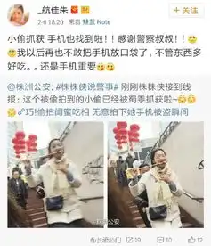拍下手机被盗瞬间吃货丑照成破案关键