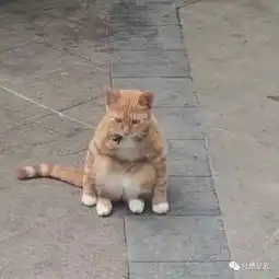 你p图也太假了吧和闺蜜私人群聊天,结果手滑发到了直男大群...