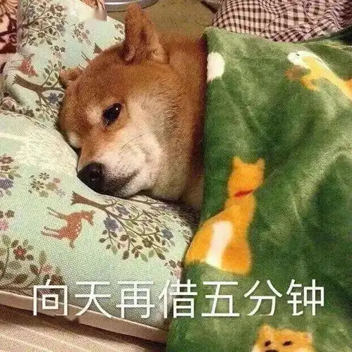 每日精选沙雕表情包