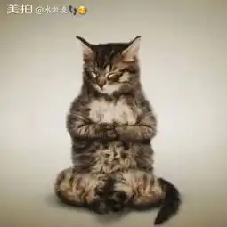 春天的脚步越来越近了,温柔,舒缓,身心都跟随春天的到来变得轻冰激凌的美拍