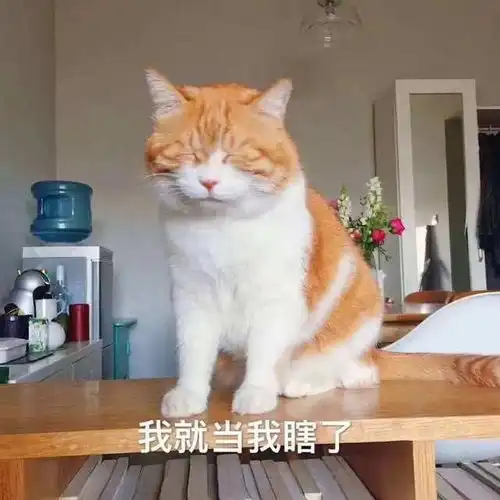 幽默笑话和女友谈了半年多关系却一直若即若离后来她闺蜜向我支招
