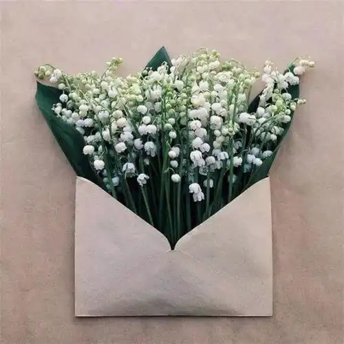 四人闺蜜头像一人一张对称