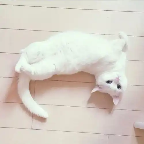 闺蜜头像
