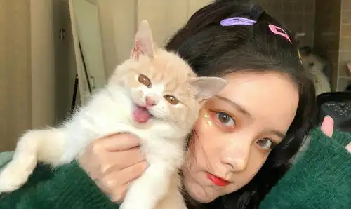 感情中劝分不劝和的星座女,却并非是因为嫉妒