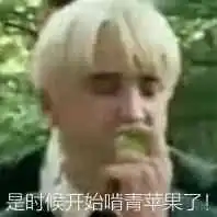 如何评价德拉科马尔福