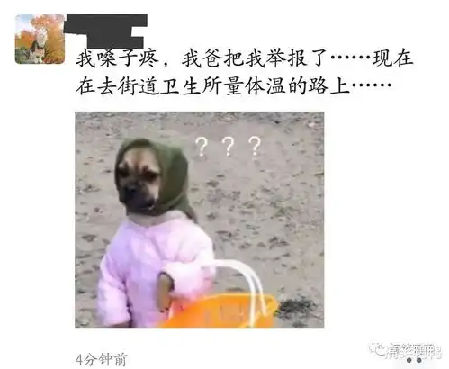 笑话段子富二代追我闺蜜给她打了40000元,闺蜜转头就分了一半给我,哈哈哈