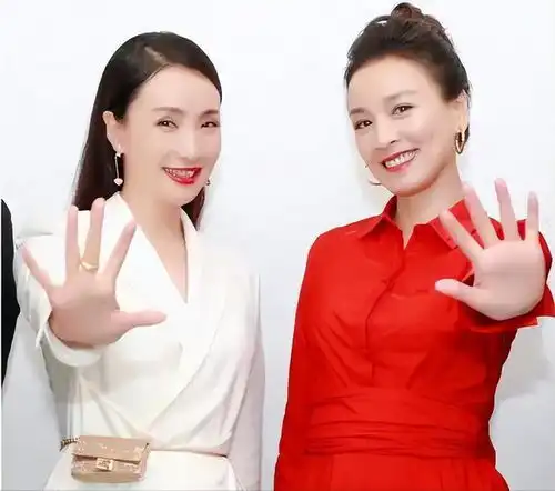 张庭解封风波升级曝闺蜜陶虹离婚但守口如瓶,更多细节有迹可循