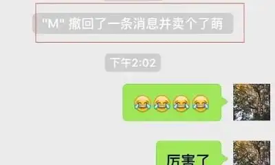 开心一刻一哥们,昨天刚回家途中坐公交时遇见小偷摸他包媳妇