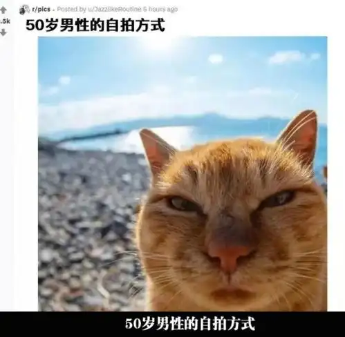 幽默笑话一辆宝马挡住我的车,看到挪车电话,就打了过去