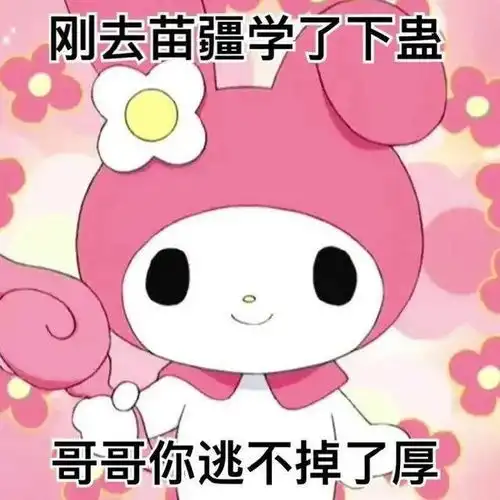 实用表情包