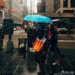 美篇早茶生气时,最能看出一个人的人品