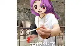 咲夜a机体normal通关