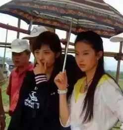 杨幂之后再无白浅刘亦菲粉丝不干了这还让不让两人做闺蜜了