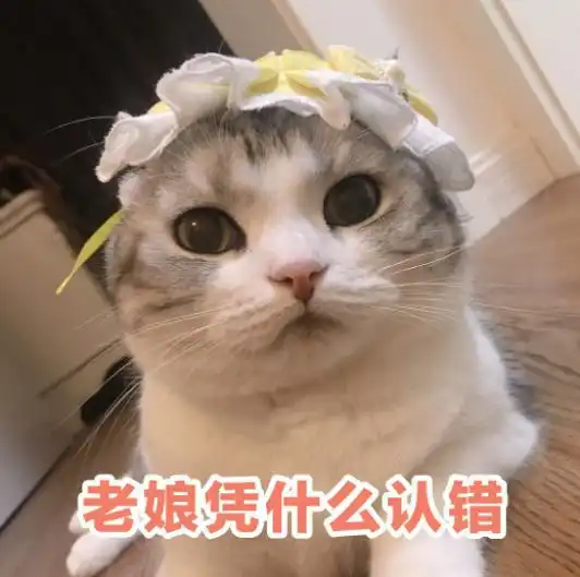 猫咪的几个道歉方式,希望宠主都懂