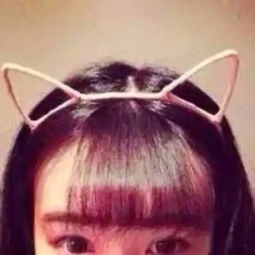 这是一张姐妹头像但是只有一张另一张找不到了另一张也是半张脸跟这个差不多是中分头饰戴着一个白色的皇冠颜色一样跟我画的差不多